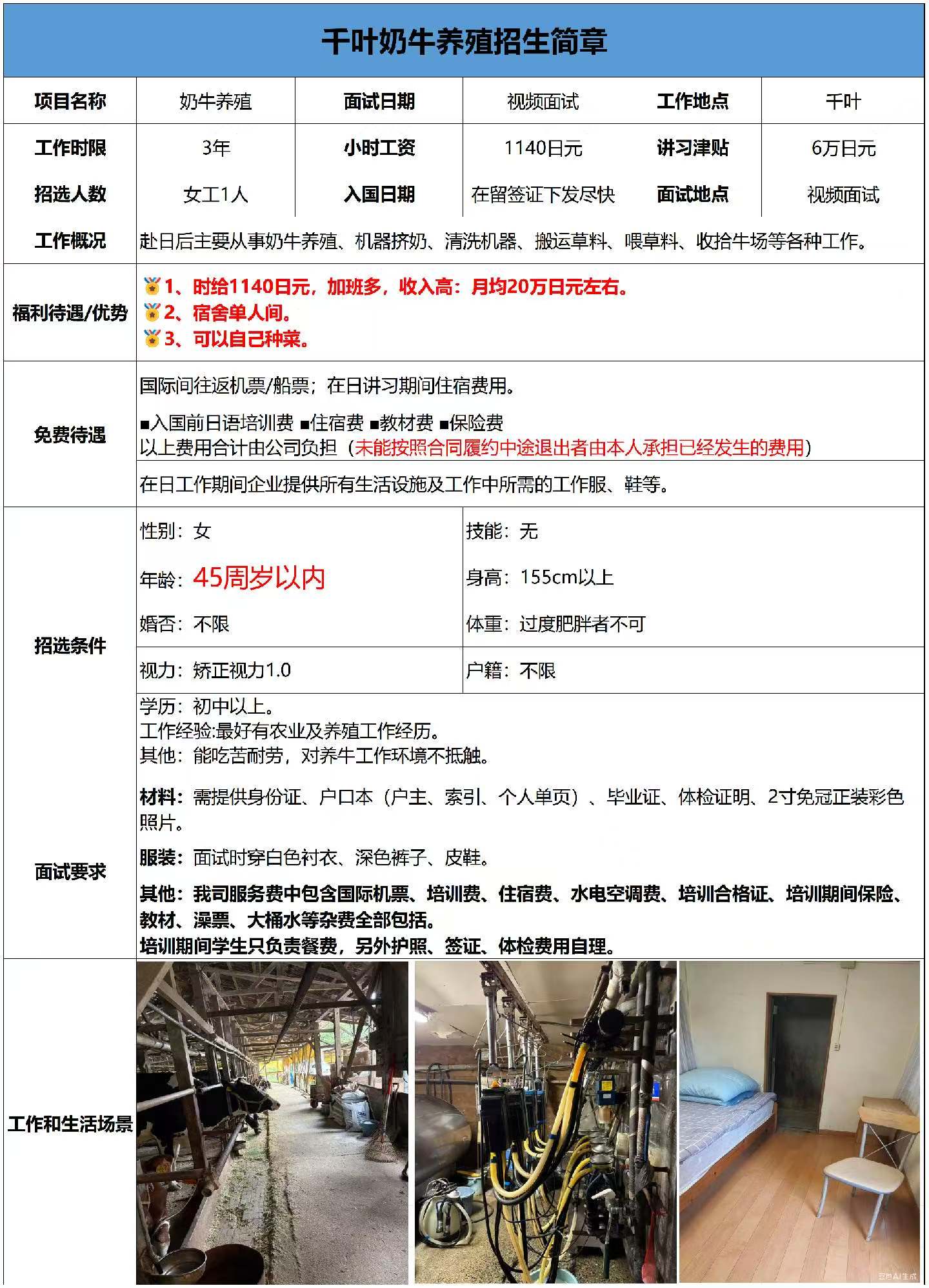 日本奶牛养殖
